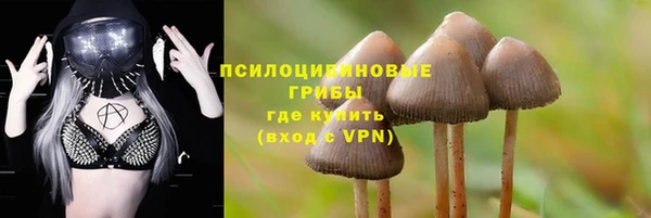 метадон Арсеньев